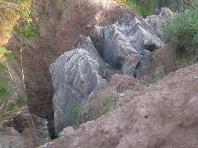 Fotos de la Muntanya de Sal de Cardona. Muntanya de residus salins amb xemeneies. Flora i formacions argiloses dels voltants de la Vall Salina. 15/062006
