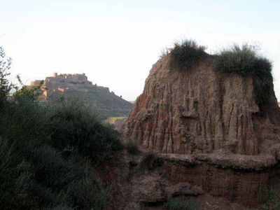 Fotos de la Muntanya de Sal de Cardona. Muntanya de residus salins amb xemeneies. Flora i formacions argiloses dels voltants de la Vall Salina. 15/062006

