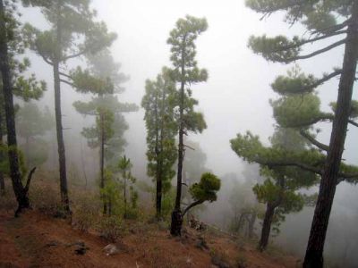 La Palma. Excursions i fotos realitzades a la illa canaria de La Palma: setembre de 2007
