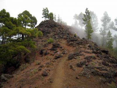 La Palma. Excursions i fotos realitzades a la illa canaria de La Palma: setembre de 2007
