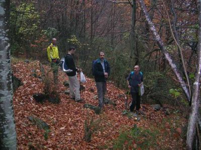 Penyes Altes del Moixeró. Pujada per la Canal de la Serp. 29/10/2005
