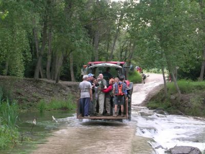 DSCN6547.jpg