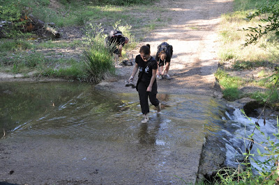 DSC_0400.JPG