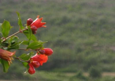28_marxa_popular_282429.jpg