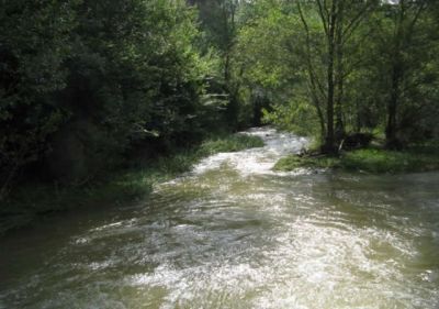 28_marxa_popular_282529.jpg