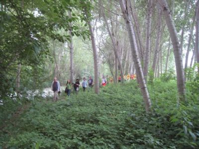28_marxa_popular_28529.jpg