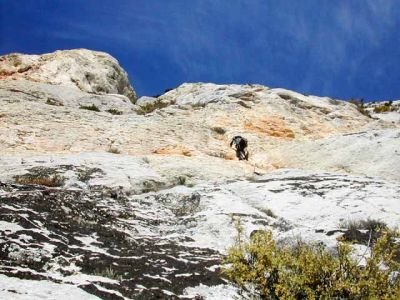 Paret del llop blanc. Canalda: Paret del Llop Blanc. Vía oberta pel centre Excursionista de Cardona
