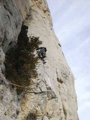 Paret del llop blanc. Canalda: Paret del Llop Blanc. Vía oberta pel centre Excursionista de Cardona
