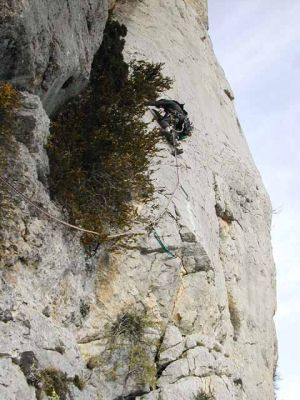 Paret del llop blanc. Canalda: Paret del Llop Blanc. Vía oberta pel centre Excursionista de Cardona
