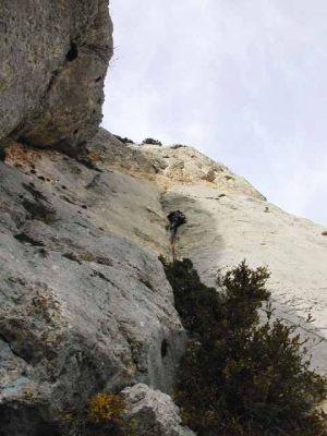 Paret del llop blanc. Canalda: Paret del Llop Blanc. Vía oberta pel centre Excursionista de Cardona
