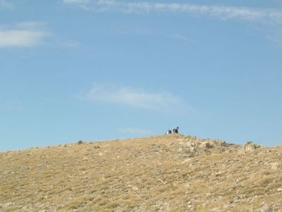 Serra del Cadí: Cristall - Baridana . Pujada per Cristall i baixada per Baridana . 24 Setembre 2005
