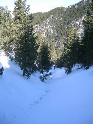 Serra d'Ensija. Sortida amb raquetes. 18/2/2006
