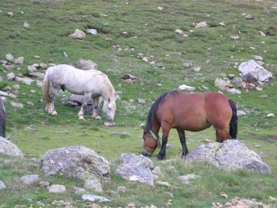 Tristaina. 22/07/2006
