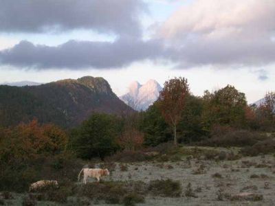 Tardor de2003. 4/11/2006

