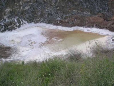 Fotos de la Muntanya de Sal de Cardona. Muntanya de residus salins amb xemeneies. Flora i formacions argiloses dels voltants de la Vall Salina. 15/062006

