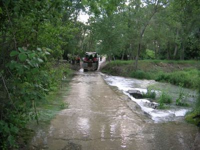 DSCN6549.jpg