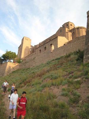 IMG_1020.jpg