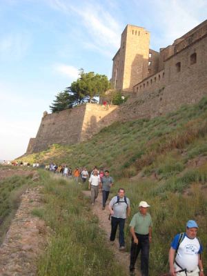 IMG_1024.jpg