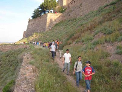 IMG_1025.jpg