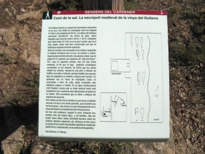 IMG_1406.jpg