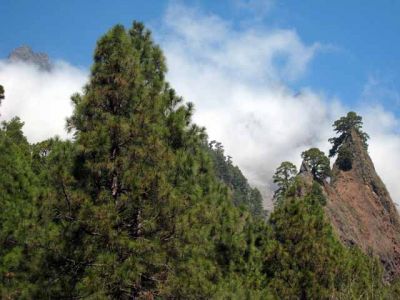 La Palma. Excursions i fotos realitzades a la illa canaria de La Palma: setembre de 2007
