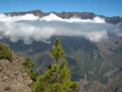 La Palma. Excursions i fotos realitzades a la illa canaria de La Palma: setembre de 2007
