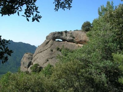 Sortida del 2/4/2011 a Les Montserratines
