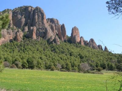 Sortida del 2/4/2011 a Les Montserratines
