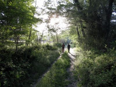 prepar_29_marxa_28129.jpg