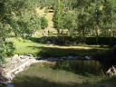 DSC02786.jpg