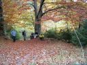 DSCN0976.jpg