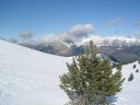 DSCN1338.jpg