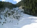 DSCN1354.jpg