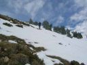 DSCN1379.jpg