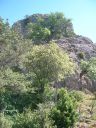 DSCN1515.jpg
