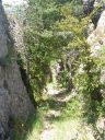 DSCN1527.jpg