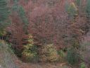 DSCN2040.jpg
