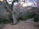 DSCN2531.jpg
