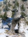 DSCN2544.jpg