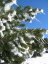 DSCN2559.jpg