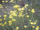 DSCN2881.jpg