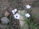 DSCN2884.jpg