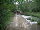 DSCN6549.jpg