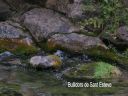 Dscn2678.jpg