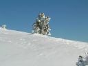 Dscn5115.jpg