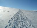 Dscn5118.jpg