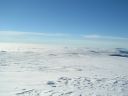 Dscn5124.jpg