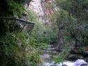 Dscn6175.jpg