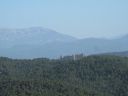 IMG_1405.jpg