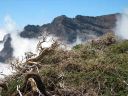 La_Palma_081.jpg
